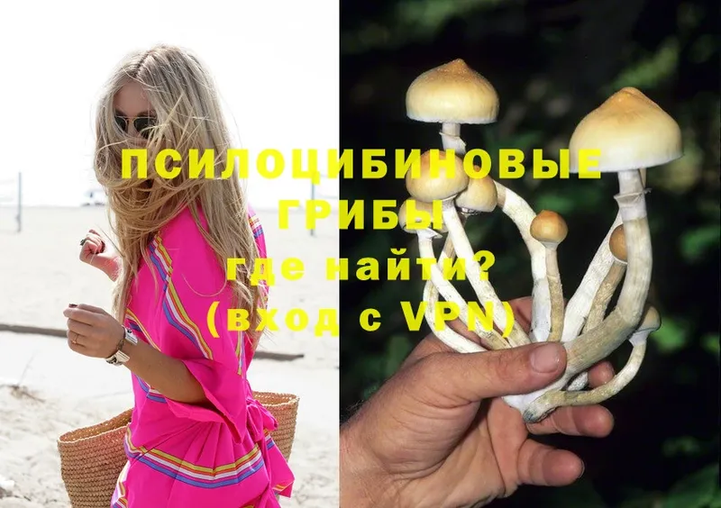 даркнет формула  Ковылкино  Галлюциногенные грибы Psilocybine cubensis 