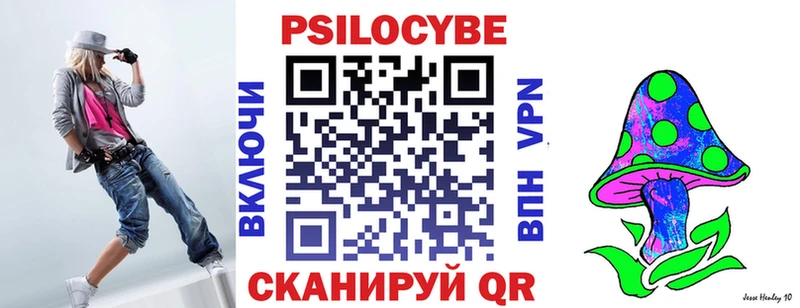 Псилоцибиновые грибы Psilocybe  Ковылкино 